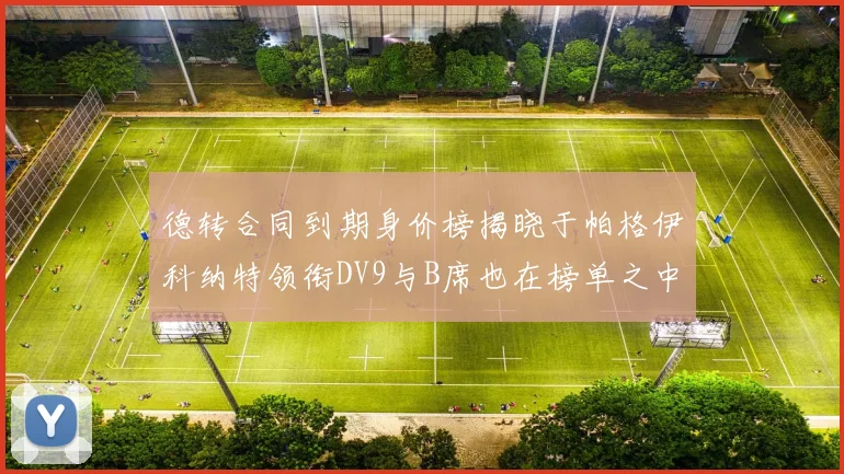 德转合同到期身价榜揭晓于帕格伊科纳特领衔DV9与B席也在榜单之中