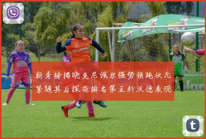 新秀榜揭晓克尼佩尔强势领跑状元紧随其后探花排名第五科沃德表现抢眼位列第三